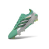 Fußballschuhe adidas Predator Elite FG Groen Zilver