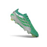 Fußballschuhe adidas Predator Elite FG Groen Zilver