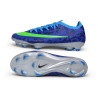 Nike Zoom Mercurial Vapor 17 Elite FG Fußballschuhe Blau GrÜN